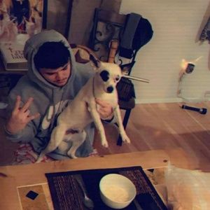 Meet your Posher, Luis